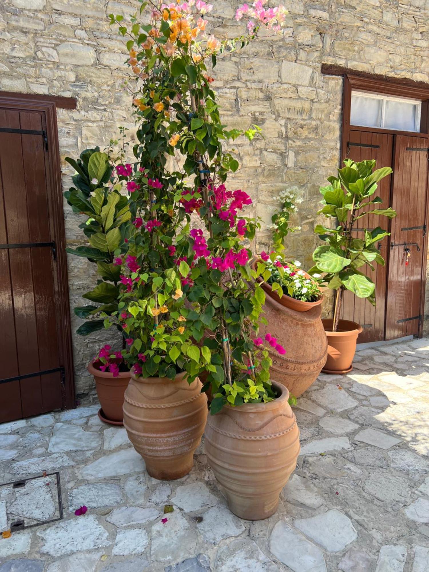 Villa Theodorou Lefkara מראה חיצוני תמונה